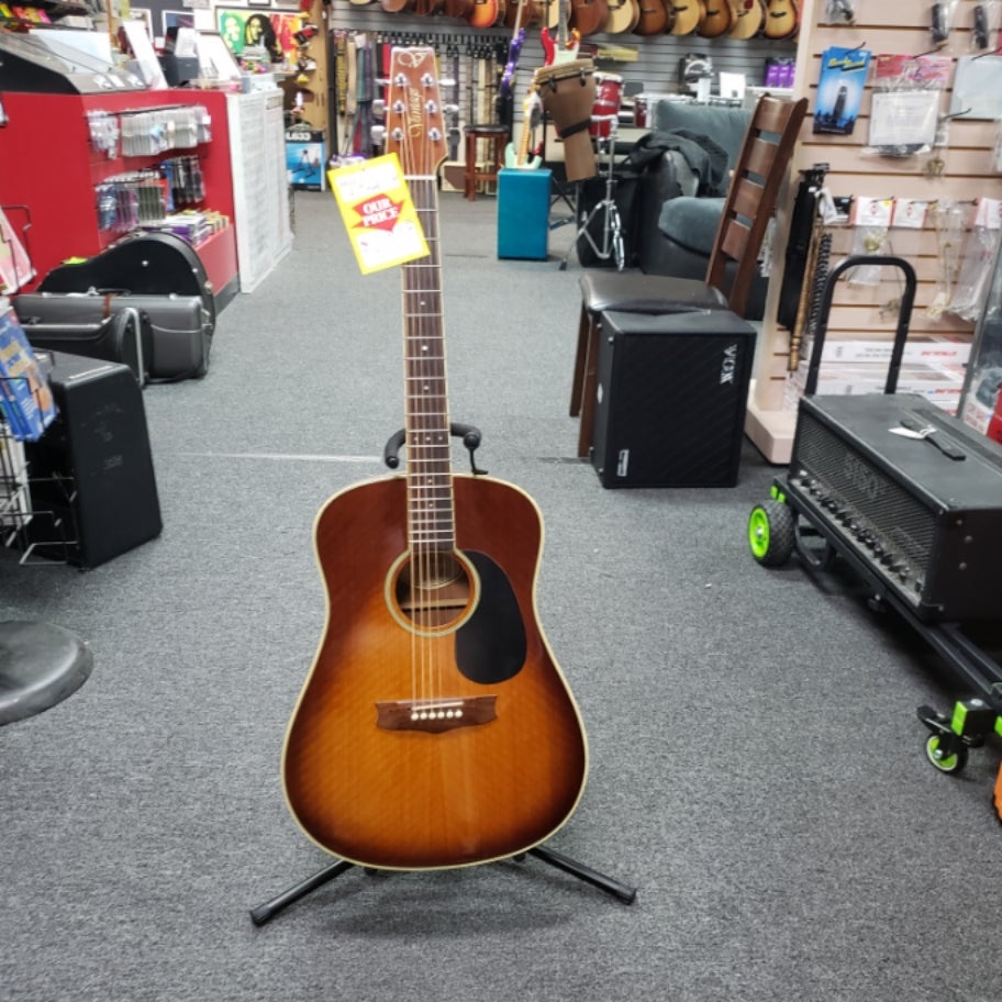 Vantage acoustic guitar price on sale